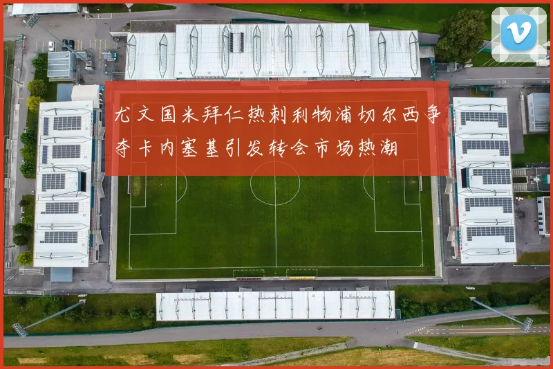 尤文国米拜仁热刺利物浦切尔西争夺卡内塞基引发转会市场热潮
