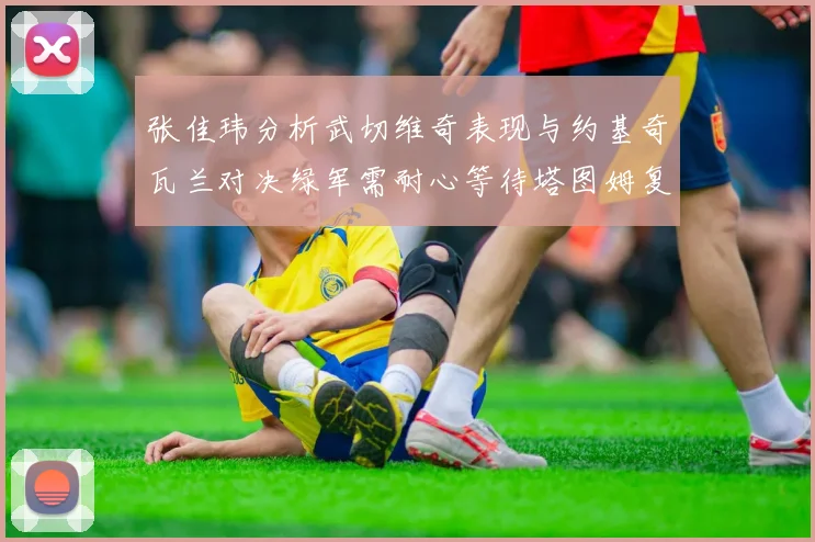 张佳玮分析武切维奇表现与约基奇瓦兰对决绿军需耐心等待塔图姆复出